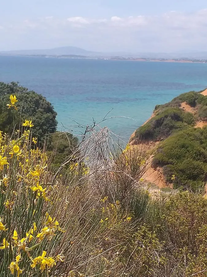 Tasos Villa Nea Poteidaia Greece